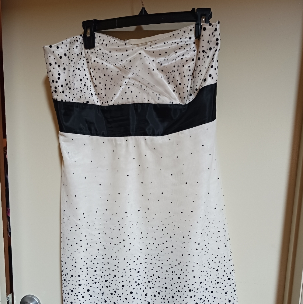 White House Black Market Cream And Black Strapless Dress